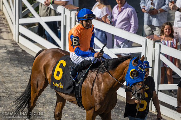 Printrack, winner of R11