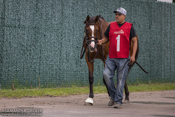 Aspen Grove, winner of R5