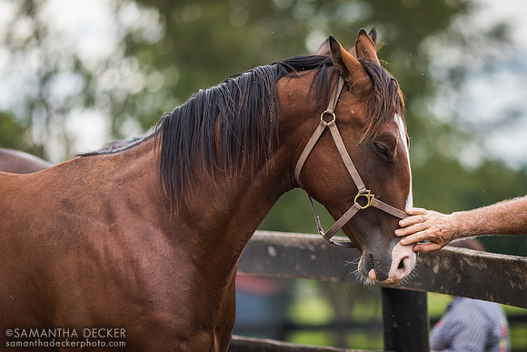 Mill Creek Farm