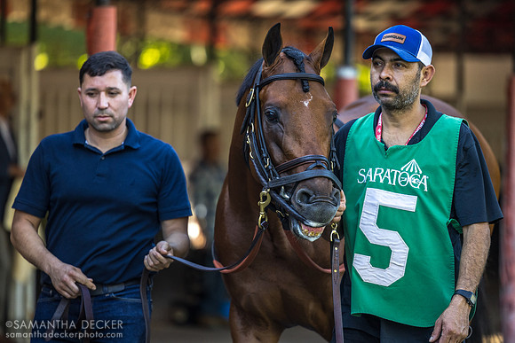 Running Bee, winner of the Bernard Baruch