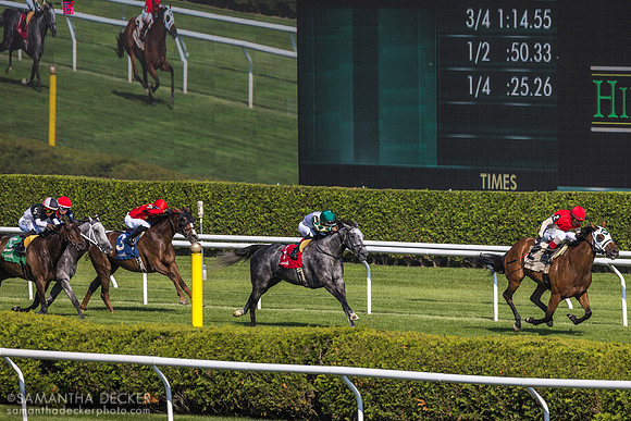 Spinning Colors wins the Mount Vernon