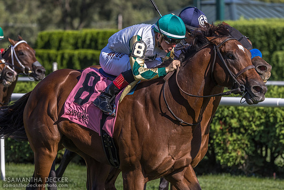 Big Invasion wins the Harvey Pack
