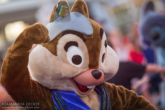 Chip, Magic Kingdom
