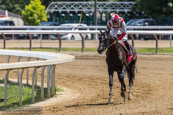 Unmatched Wisdom wins the Curlin S.