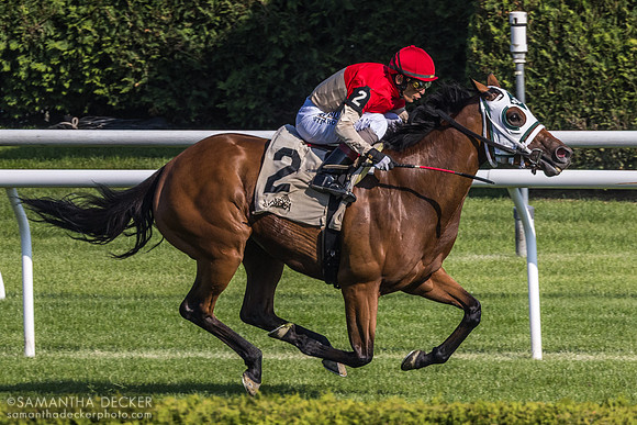 Spinning Colors wins the Mount Vernon
