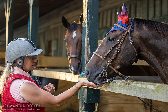 Outrider Lexie Marquis feeds pony Quinn while Leroy looks on