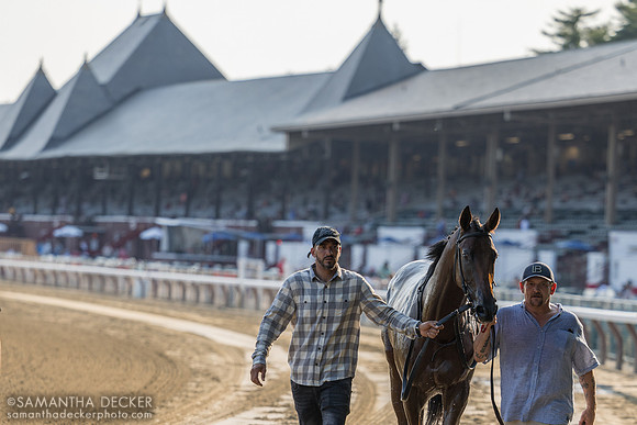 Mo Plex heads to the test barn after winning the Sanford S.