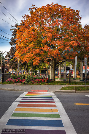 Pride Crosswalk in Fall