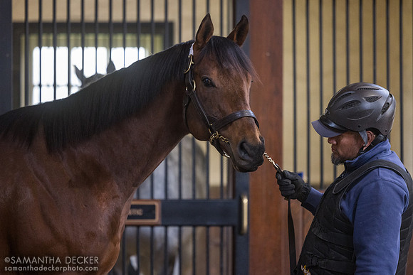 Gun Pilot, Three Chimneys Farm, Midway, KY