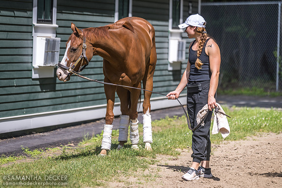 Complexion with exercise rider Priscilla Schaefer, 6.15.24