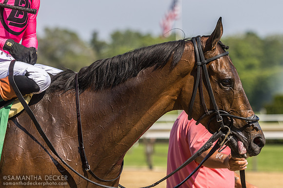 Coach Case breaks his maiden