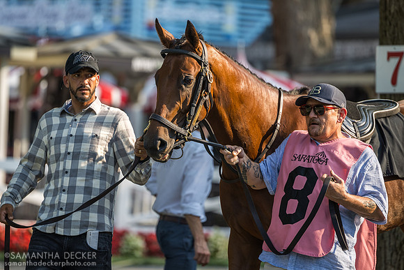 Mo Plex and Irad Ortiz win the Sanford S.