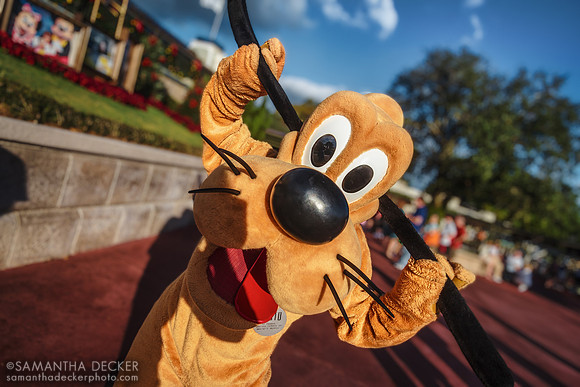 Pluto, Magic Kingdom