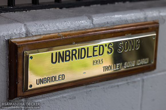 Unbridled's Song's stall, Taylor Made Farm, Nicholasville