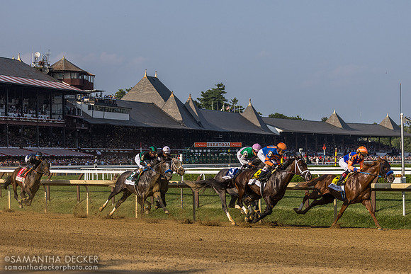 Around the clubhouse turn in the Jim Dandy S.