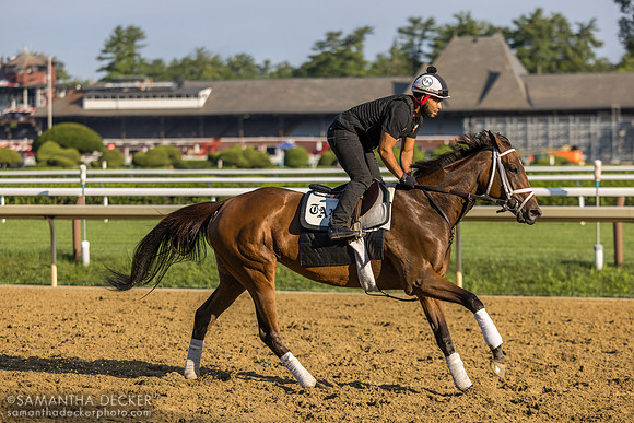 Carlos Quevedo rides Candied