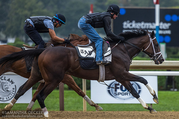 Danny Wright on Fierceness, breezing in company with Bright Future