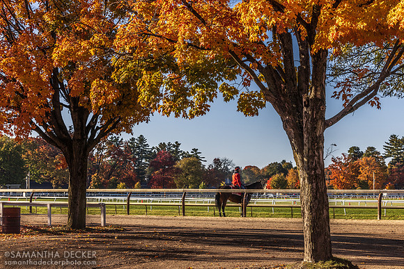 Fall at the Spa, 2024