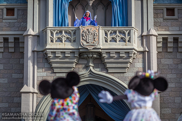 A Magical Morning at the Magic Kingdom