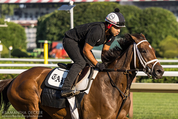 Carlos Quevedo rides Candied