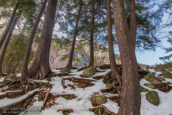 Chapel Pond, NY, 2013