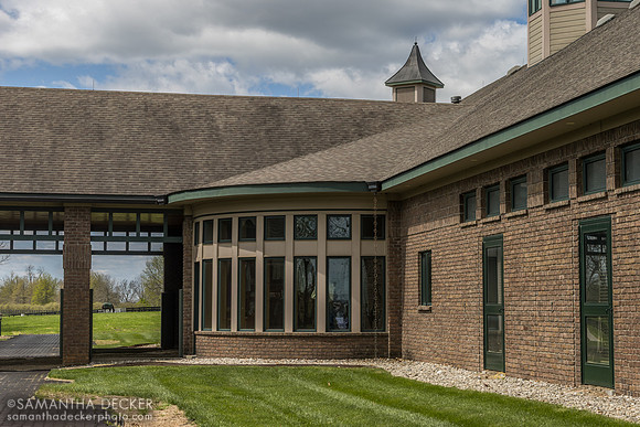 Tiznow (in the background), WinStar Farm, Versailles, KY