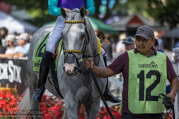 Surveillance, winner of the Troy S.