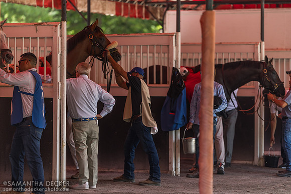 Saddling shed