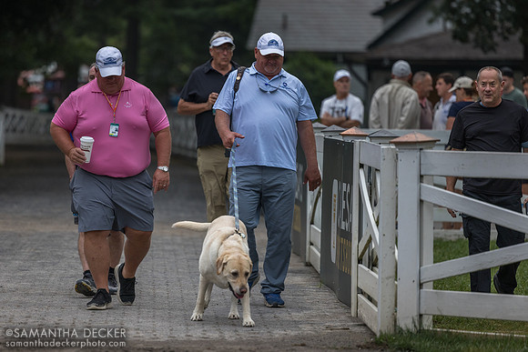 Kenny McPeek and team enter the paddock before Thorpedo Anna's breeze