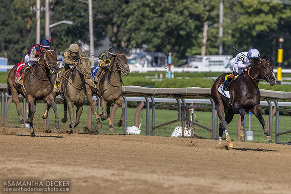 Stretch run of the Forego