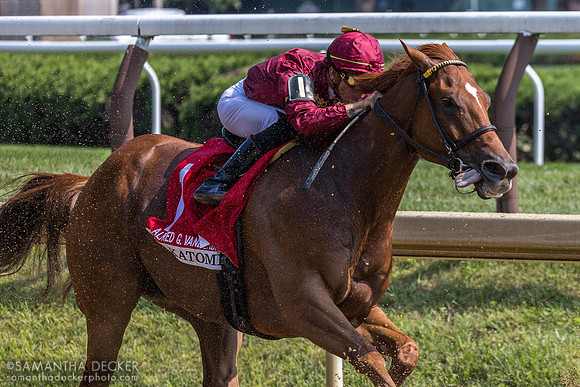 Nakatomi wins the AG Vanderbilt H.