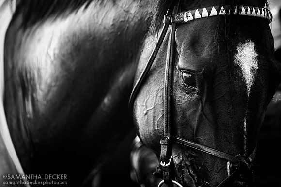 Olympiad wins the Grade I Jockey Club Gold Cup