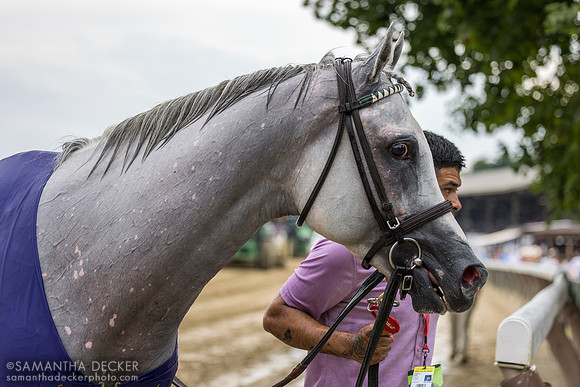 Arthur's Ride heads to the test barn