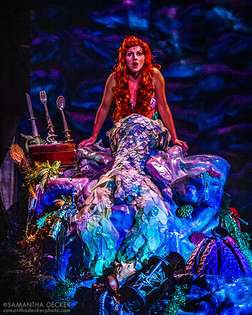 Voyage of the Little Mermaid, Disney's Hollywood Studios