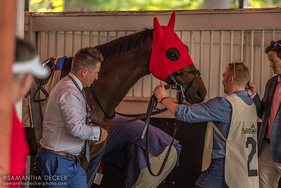 Silver Knott, winner of the Bowling Green S.