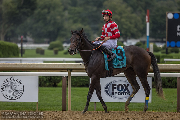 Kimchi Cat wins the Bolton Landing S.