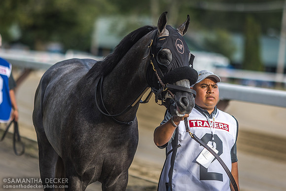 Arcangelo Off to Win the Travers