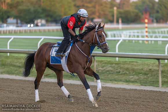 Mystik Dan, Oklahoma Training Track, 2024