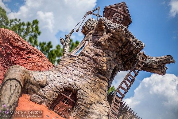 Splash Mountain, Magic Kingdom