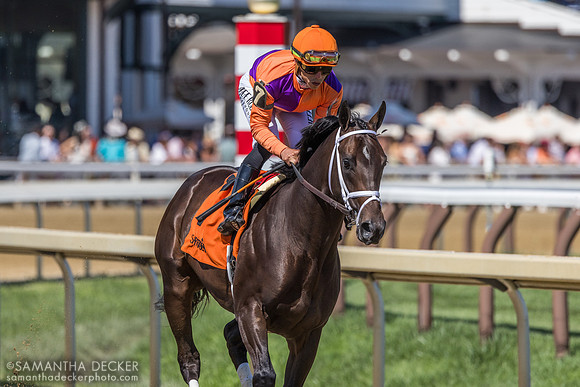 Tenacious Leader, winner of  R7