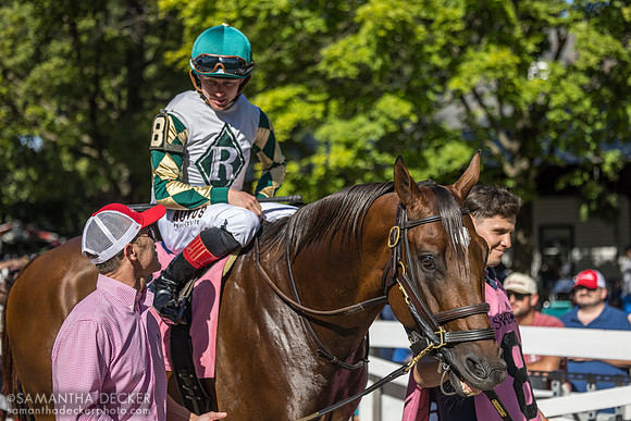 Big Invasion, winner of the Harvey Pack