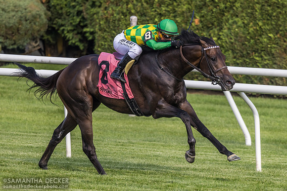Donegal Momentum wins the Poker